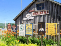 Annapolis Royal Market Nova Scotia