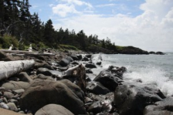 Bay of Fundy Nova Scotia