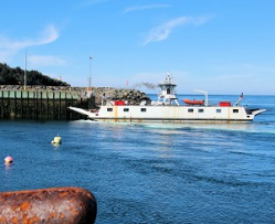 Ferry from East Ferry to Tiverton Digby Neck