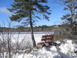 Winter At Lake Midway Cottage