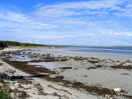 Nova Scotia's Shoreline