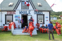 Ocean Explorations Zodiac Whale Cruises Tiverton