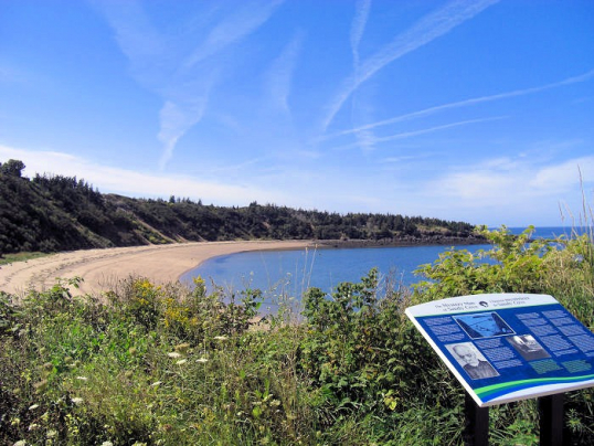 Sandy Cove Digby Neck