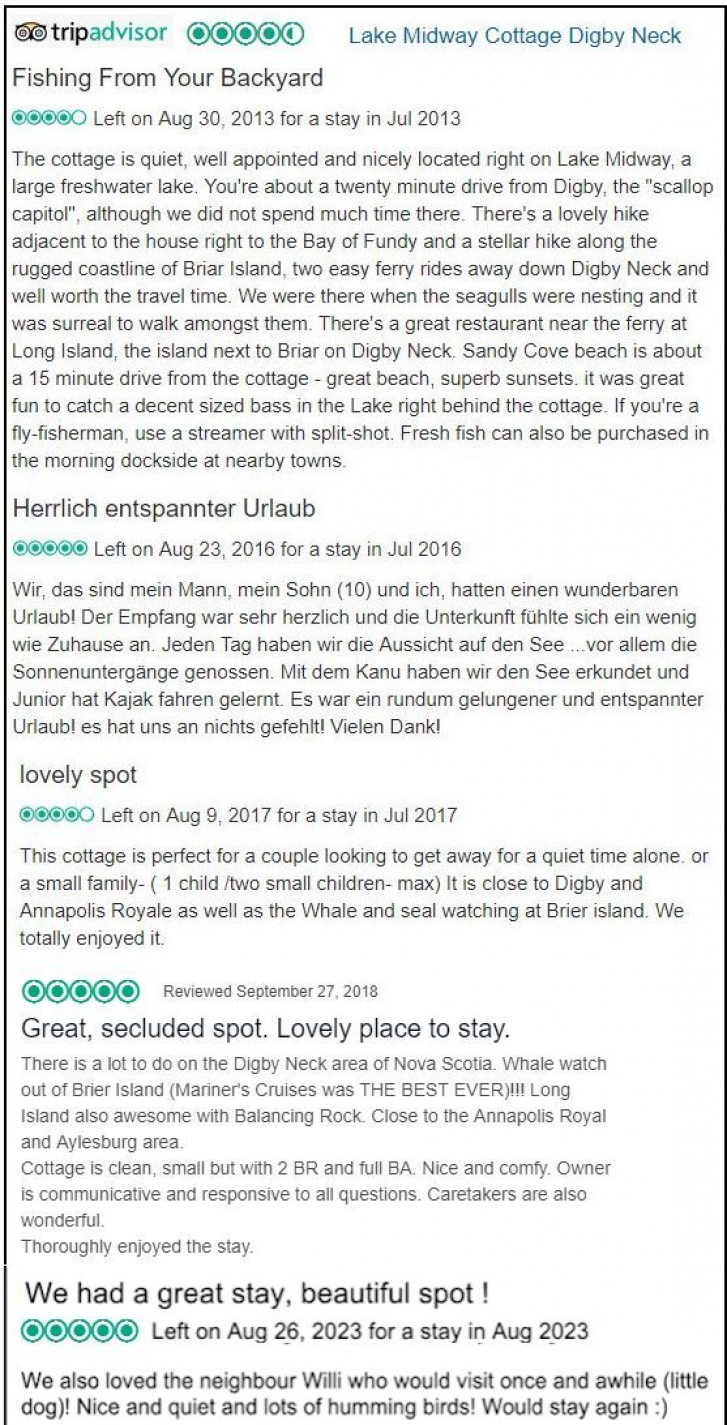 Tripadvisor Reviews