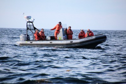 Brier Island Whale Watching 