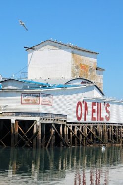 Digby Town O'Neils Fisheries